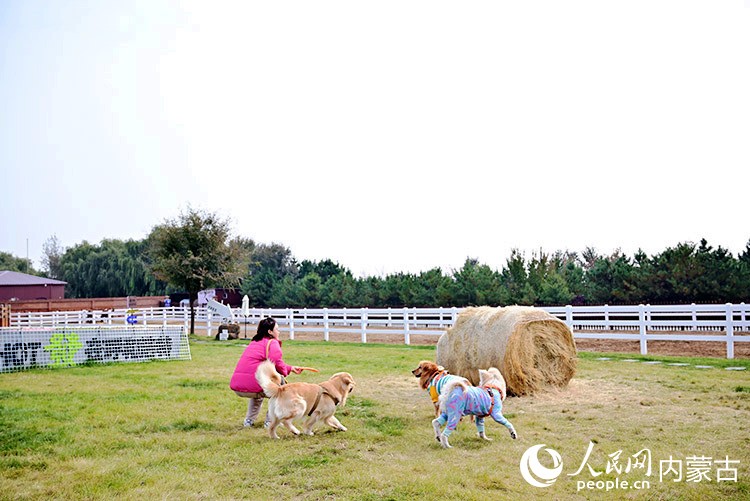 游客在峪見小鎮(zhèn)和狗狗一起玩耍。人民網(wǎng)記者 寇雅楠攝