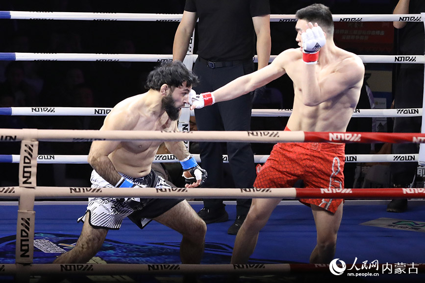 比賽現場。人民網記者 齊浩男攝