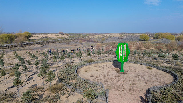 秋冬季義務(wù)植樹造林進(jìn)行時(shí)。王琪攝