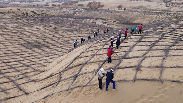 農(nóng)牧民參與以工代賑,筑牢生態(tài)屏障。王琪攝