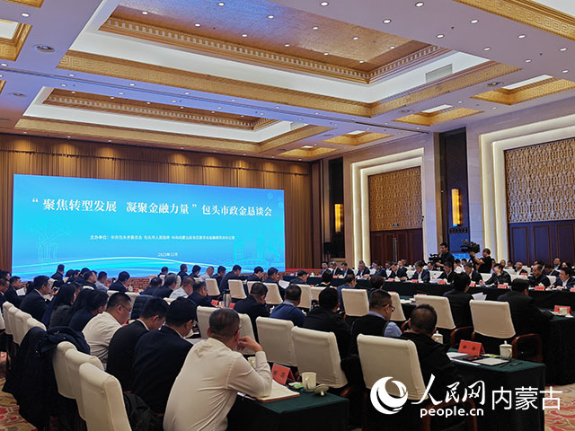 會議現場。人民網記者 苗陽攝