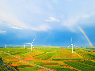 沃野間,大地披彩,風車搖曳。