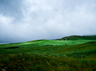 淖爾梁高山濕地草原,云卷碧毯鋪展天際。