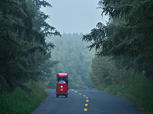 哈達門林間公路的觀光車穿梭在翠色山景里。