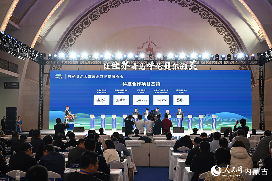 呼倫貝爾大草原北京招商推介會現場。人民網記者 劉藝琳攝