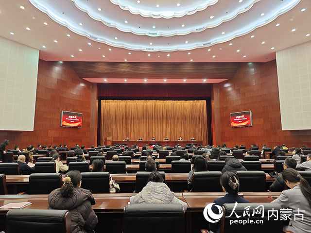 報告會現場。人民網記者 苗陽攝