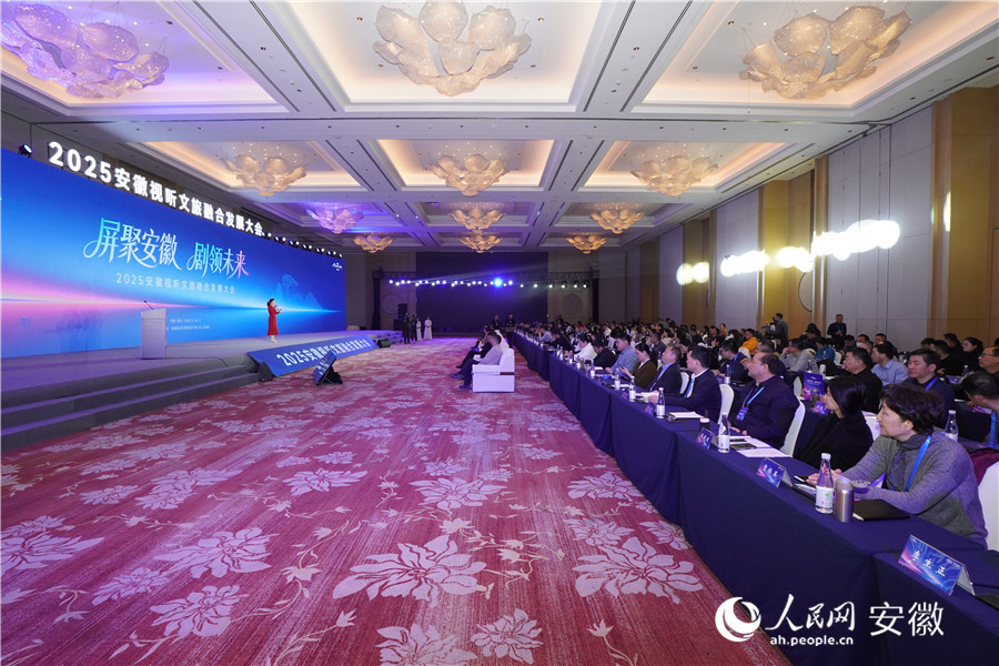 2025安徽視聽文旅融合發(fā)展大會現場。人民網記者 陳若天攝