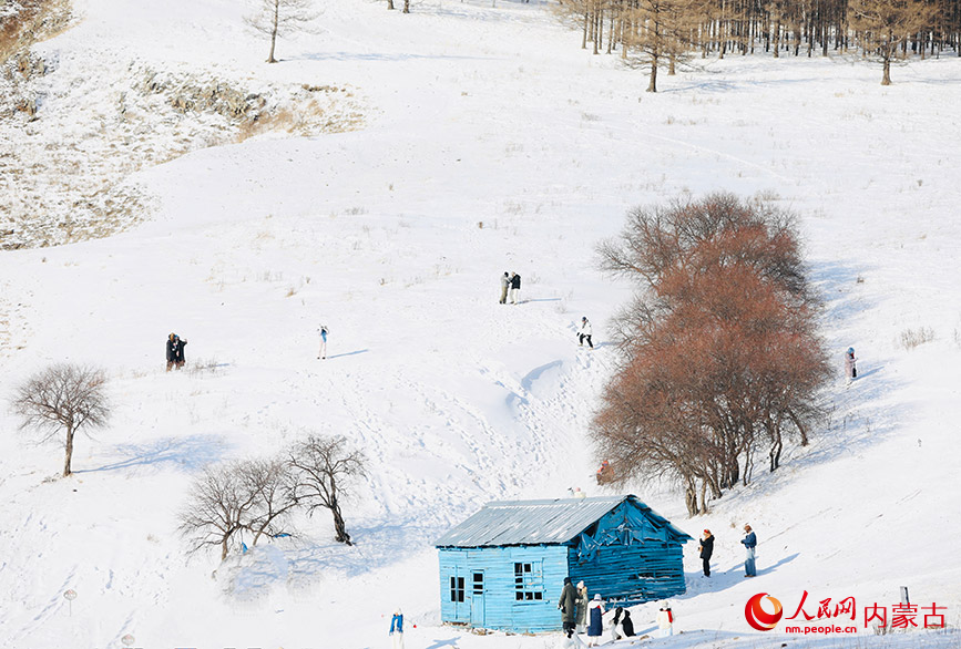 阿爾山國家森林公園。人民網記者 齊浩男攝