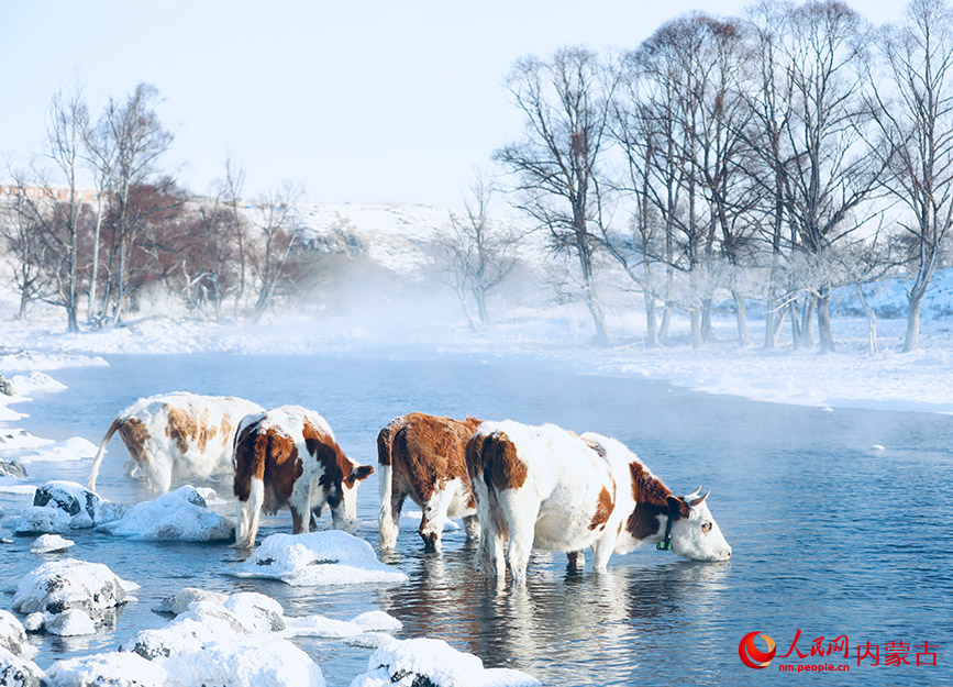 不凍河美景。人民網記者 齊浩男攝