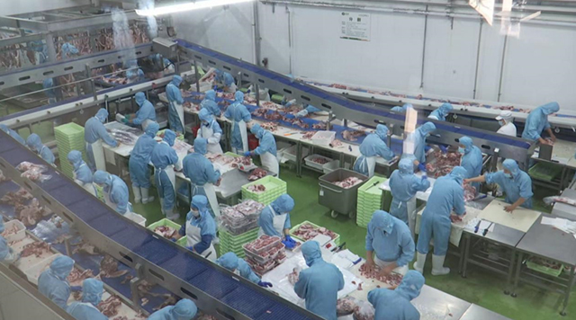 企業忙生產、趕訂單。馬崔宇攝