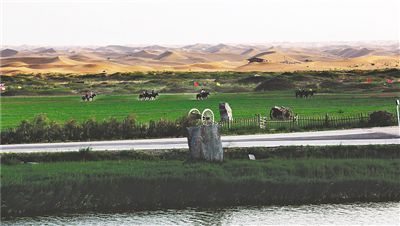 阿拉善盟通湖草原景區(qū)。記者 劉宏章 攝