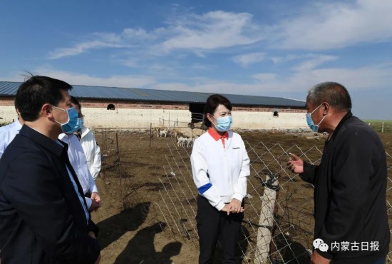 9月15日,王莉霞在烏蘭察布市商都縣小海子鎮董家村了解村民生產生活情況。記者韓卿立攝