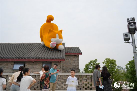 橘貓趴在屋頂憨態可掬。人民網 劉汕攝