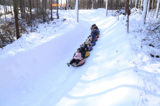 撫順2000米長的“雪地貪吃蛇”林間雪圈道上，尖叫聲不斷。